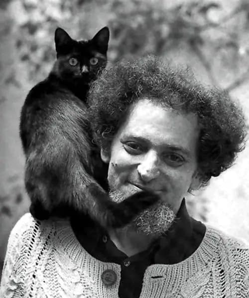 Georges Perec and Cat